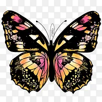 手绘蝴蝶-空若网 手绘蝴蝶-空若网