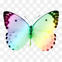 ��ɫ����-������