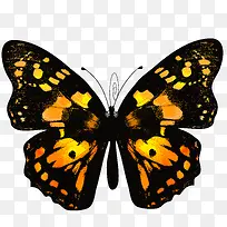 �ֻ����-������