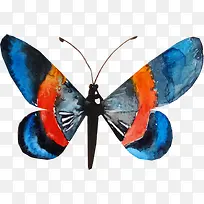 �����ֻ����-������