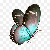 ¿¨Í¨ºûµû-¿ÕÈôÍø ¿¨Í¨ºûµû-¿ÕÈôÍø