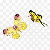 手绘蝴蝶-空若网 手绘蝴蝶-空若网