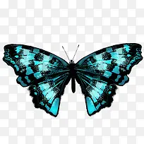 �ֻ����-������