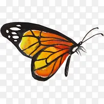 蝴蝶创意水彩-空若网 蝴蝶创意水彩-空若网