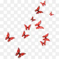 ��������ĺ���-������