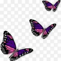 手绘蝴蝶-空若网 手绘蝴蝶-空若网