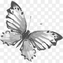 �ֻ�ˮ�ʺ����ز�-������