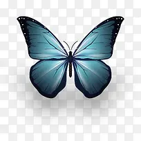 蓝色的蝴蝶-空若网 蓝色的蝴蝶-空若网