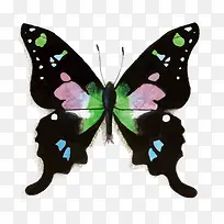 ʸÁ¿ºûµû-¿ÕÈôÍø ʸÁ¿ºûµû-¿ÕÈôÍø