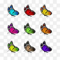 �����ز�-������