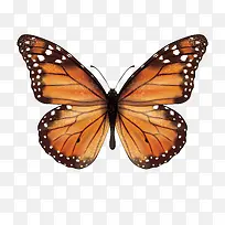 �����ֻ�װ��-������