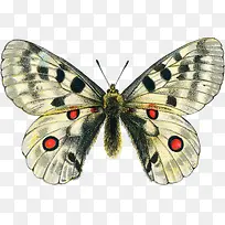 ����-������