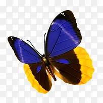 ����-������