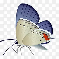 �ֻ����-������