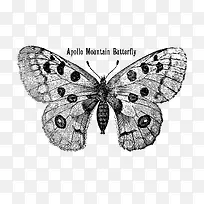 矢量灰色蝴蝶-空若网 矢量灰色蝴蝶-空若网