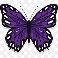紫色的蝴蝶-空若网 紫色的蝴蝶-空若网