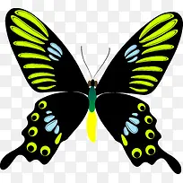 �ֻ����-������