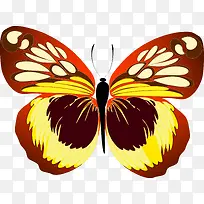 �ֻ����-������