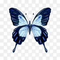 ˮ�ʺ������-������