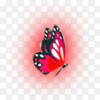 蝴蝶-空若网 蝴蝶-空若网