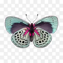 ��ɫ����-������