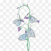 矢量蝴蝶-空若网 矢量蝴蝶-空若网