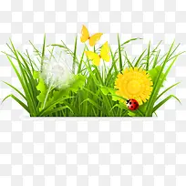 С������ɫС��-������