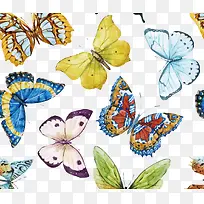 矢量水彩蝴蝶装饰-空若网 矢量水彩蝴蝶装饰-空若网