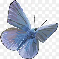 矢量蜻蜓虫子 昆虫 蝴蝶-空若网 矢量蜻蜓虫子 昆虫 蝴蝶-空若网