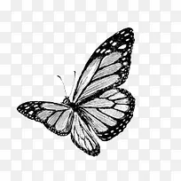 �ֻ����-������