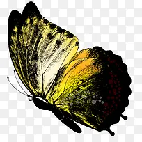 ÊÖ»æºûµû-¿ÕÈôÍø ÊÖ»æºûµû-¿ÕÈôÍø