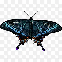 �ֻ����-������