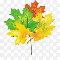 �ֻ���Ҷ-������