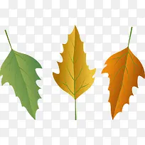 卡通树叶-空若网 卡通树叶-空若网