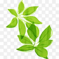 卡通手绘树叶-空若网 卡通手绘树叶-空若网