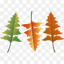 卡通树叶-空若网 卡通树叶-空若网