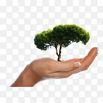 �ֺ���-������