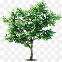 ��-������