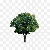 ��-������