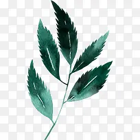 �ֻ���Ҷ-������