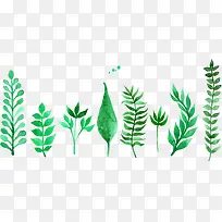 卡通手绘树叶-空若网 卡通手绘树叶-空若网