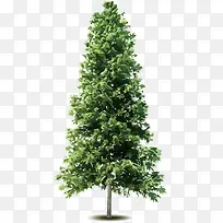 ����-������