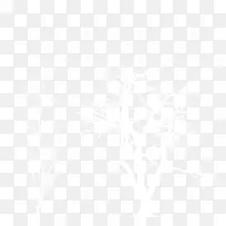 树-空若网 树-空若网