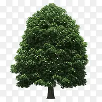 ����-������