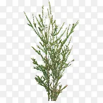 ����-������