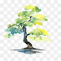 ˮ����ľ-������