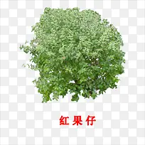 �����-������