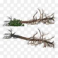 倒树-空若网 倒树-空若网