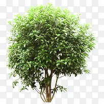 ����-������