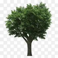 ����-������